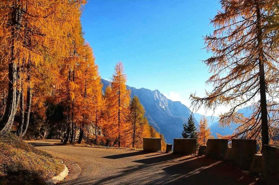 Blazic Kranjska Gora
