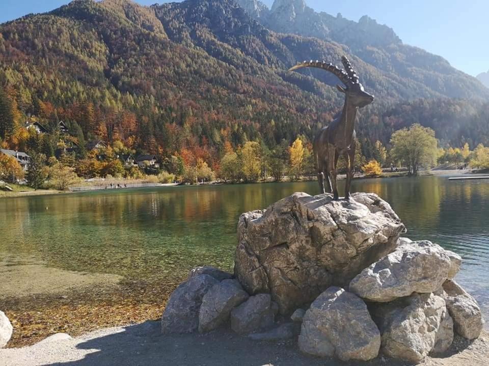 Apartment Blazic Kranjska Gora